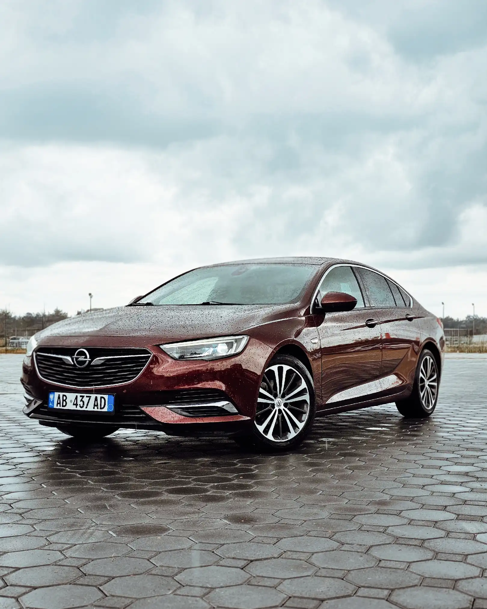 Opel Insignia Rent in AL